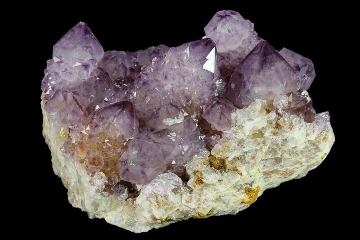 Dark, Cactus Quartz (Amethyst) Cluster - South Africa #132533